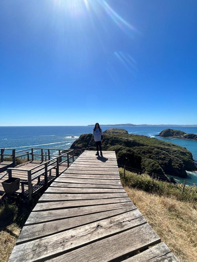 Hotel Purple Fox Ancud Exterior foto